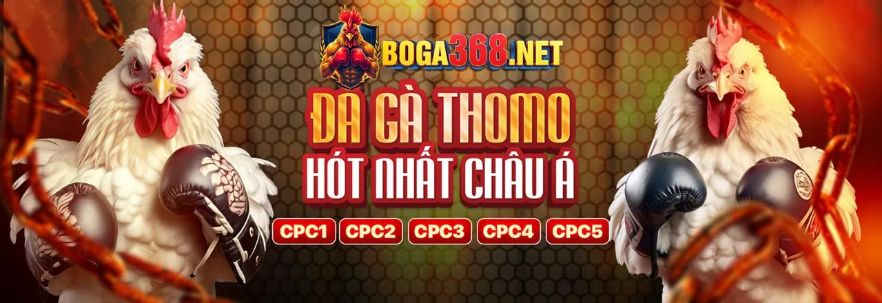 Đá Gà Trực Tuyến f88 code